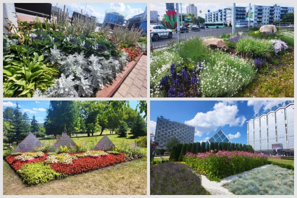 Зеленстрой